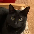 ネオン